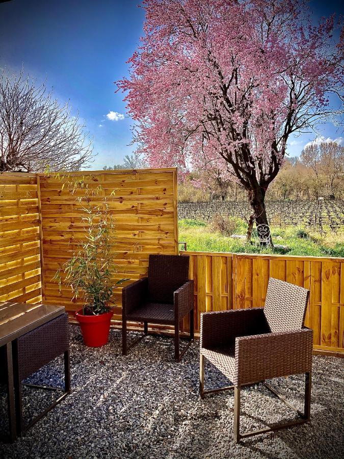 Lodging Au Milieu Des Vignes & Des Etoiles Saint-Jean-de-Fos Luaran gambar